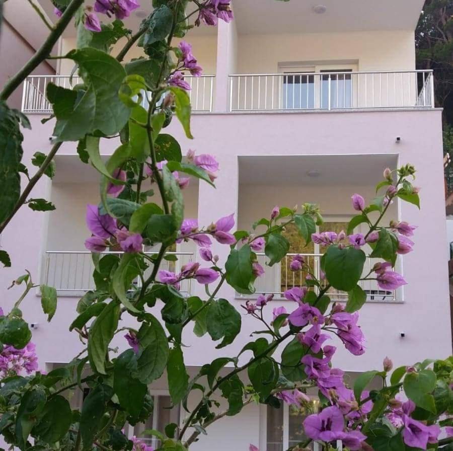 Valentina Apartman *