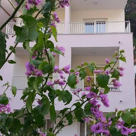 Apartmani Valentina Drvenik Drvenik  Exterior photo